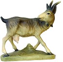 Capra art. 79770-49